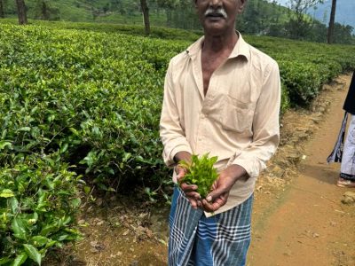 قیمت تور سریلانکا ۱۴۰۴